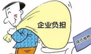 事关青海人的社保费，大变化！