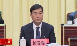 “老虎”杨发森主动投案！任职历经新疆、青海两省份