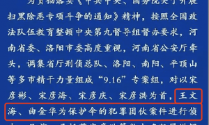 河南省司法厅原厅长王文海病亡 曾被指“盗墓团伙保护伞”，一审八罪获刑25年