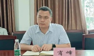 遭举报出轨他人妻子，海南一县委原副书记被“双开”