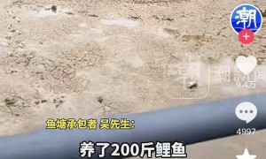 湖南娄底一鱼塘现大坑，塘主称200斤鲤鱼没了 调查人员：或系岩溶塌陷，附近曾发生类似情况